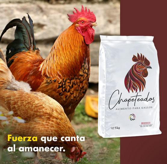 CHAPETEADO GALLO 25KG 